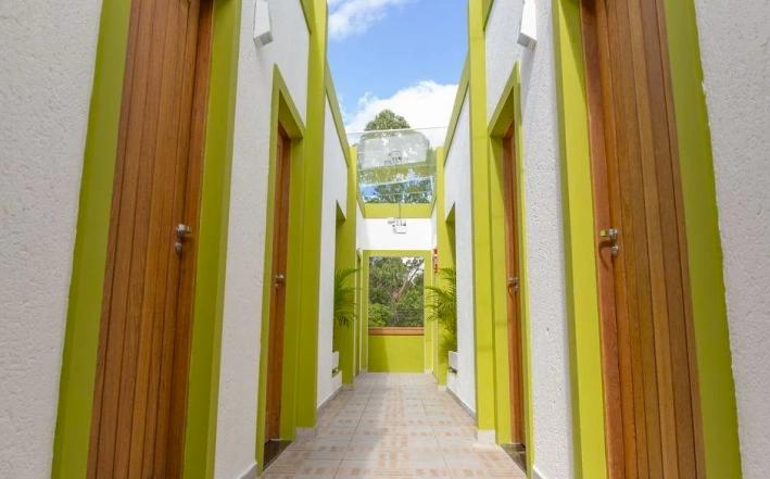 Picture of the author