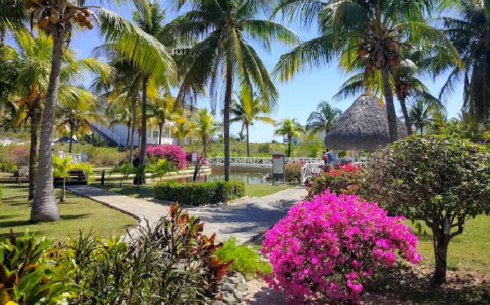 Picture of the author