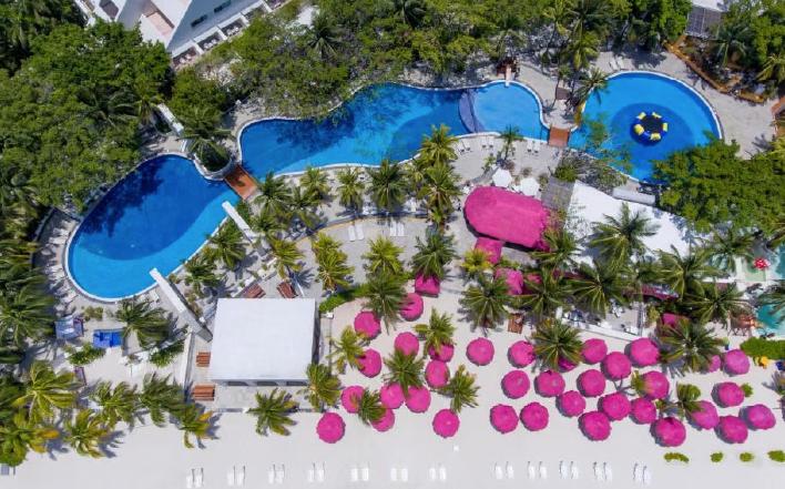 Picture of the author