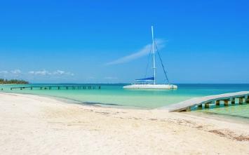 Picture of the author